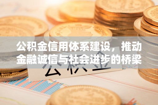 拉孜公积金信用体系建设，推动金融诚信与社会进步的桥梁
