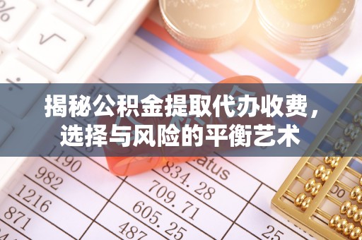 拉孜揭秘公积金提取代办收费，选择与风险的平衡艺术