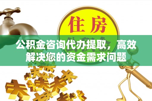 拉孜公积金咨询代办提取，高效解决您的资金需求问题
